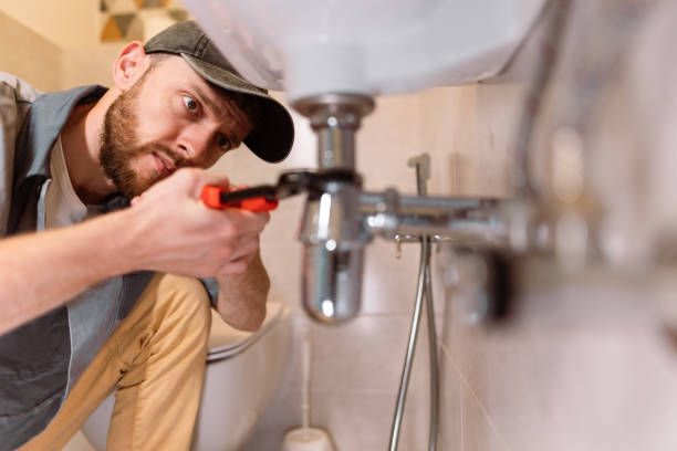 Best Clogged Drain Plumber  in Sturgeon Bay, WI
